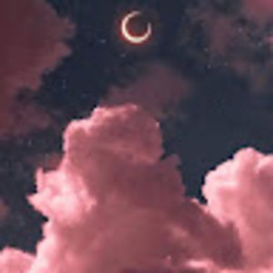 Meet your Posher, Mackenzie